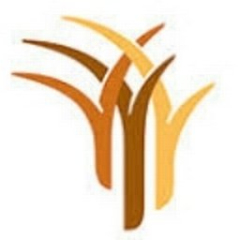 DBSA