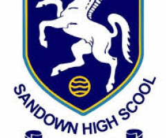 Sandown H School