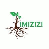 Imizizi