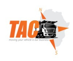 Toonywhere Carriers